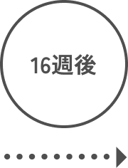 使用方法