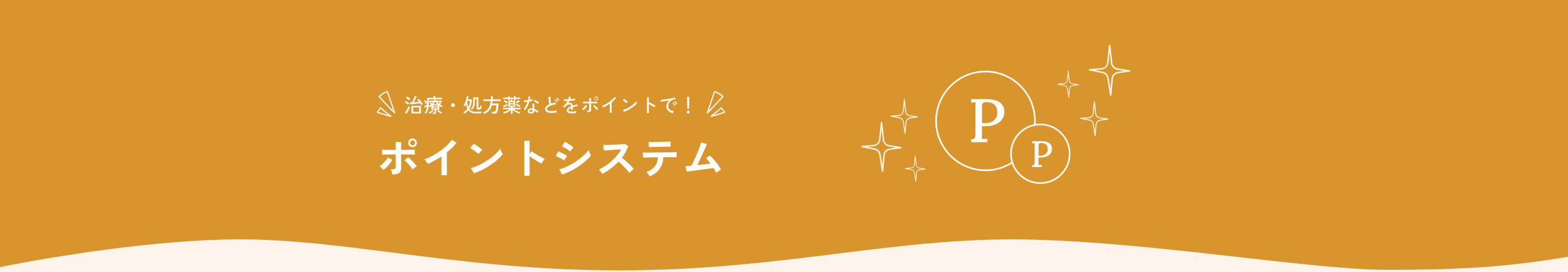 ポイントシステムについて