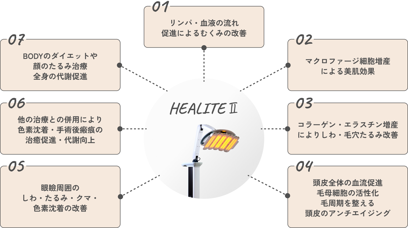 発毛促進セラピー（ヒーライトⅡ）の貢献する作用