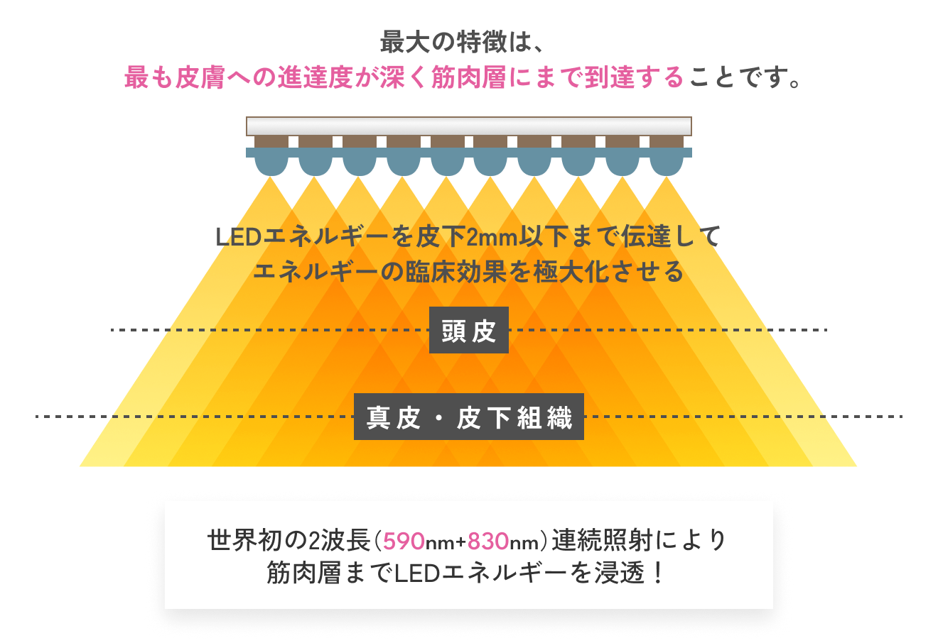 590nmと830nmの世界初の連続照射技術により皮膚深部までエネルギー到達！