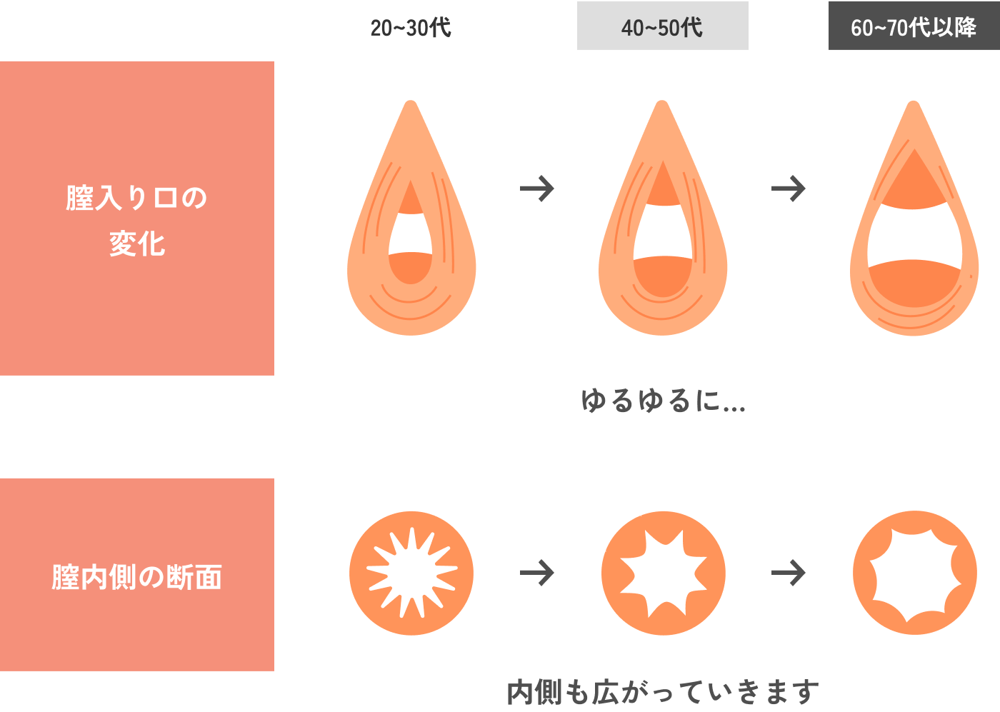 膣内の変化