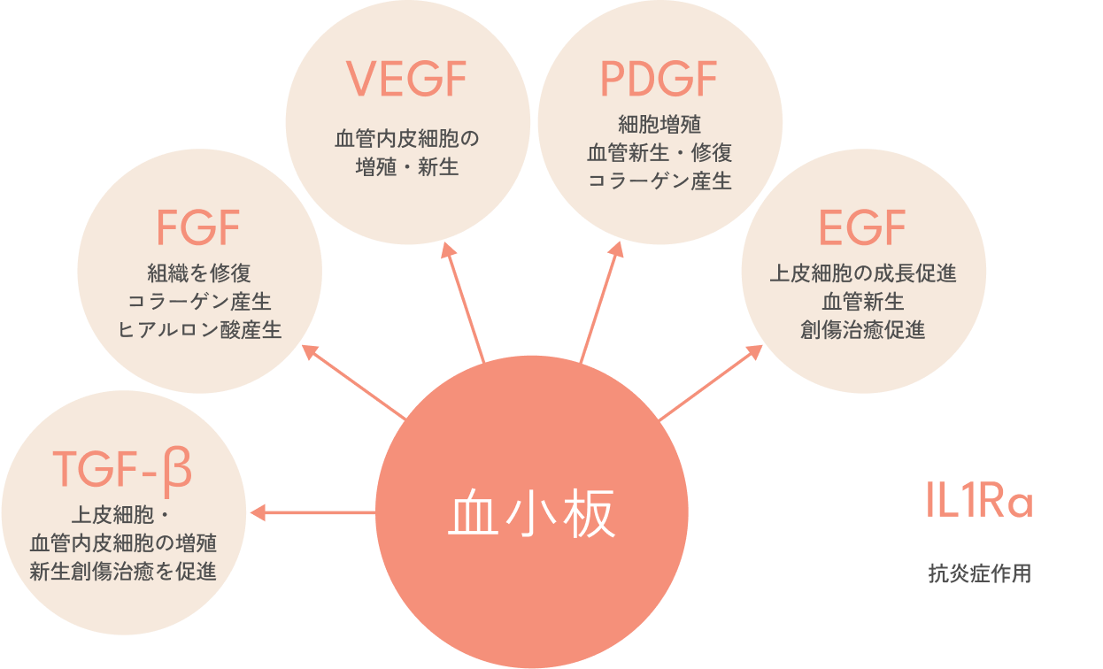 成長因子